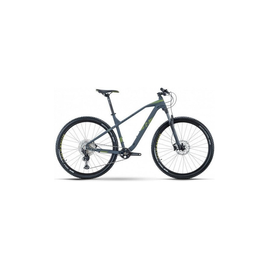MTB RAYMON HardRay Nine 6.5 29'' Gris/Verde